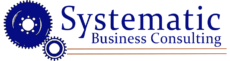 Logo for Systematic Business Consulting in dark blue, featuring two gears of different sizes on the left side of the text. The company name 'Systematic Business Consulting' is written in a bold, professional font with two orange horizontal lines extending from the larger gear below the text.